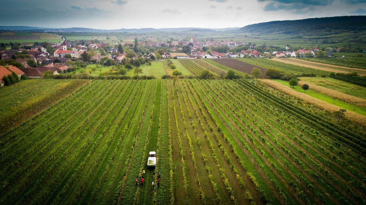 Weingut Familie Krell Mitterretzbach Exterior photo